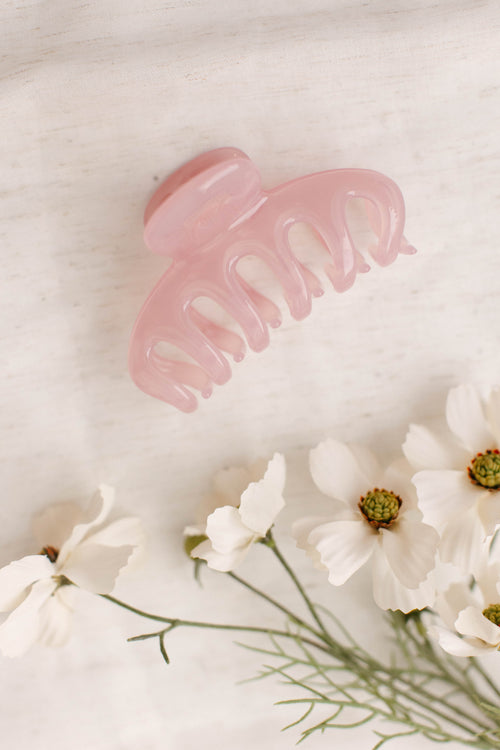 Translucent Claw Clip