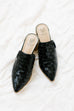 'Mikal' Woven Block Heel Mules in Black FINAL SALE